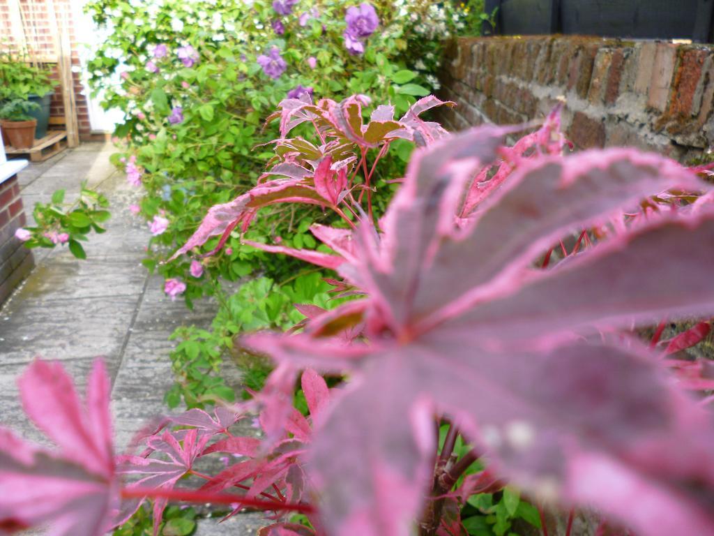 Copperfields Guest House Bed & Breakfast 4*